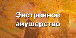 ЭАПРМ 2017